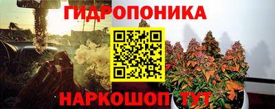 ПСИЛОЦИБИНОВЫЕ ГРИБЫ Гуково