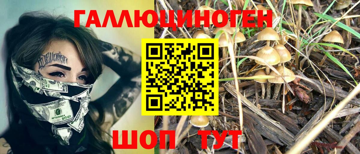 Заводоуковск  Галлюциногенные грибы Psilocybe  Вход с VPN  Псилоцибиновые грибы GOLDEN TEACHER 