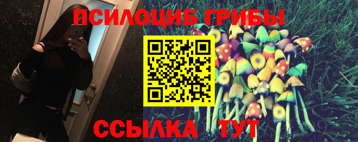 Галлюциногенные грибы Magic Shrooms Заводоуковск